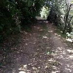 Casa Belvedere -tranquillita Tra Bosco E Ulivi- Prázdninový dům Riparbella