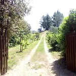 Prázdninový dům Casa Belvedere -tranquillita Tra Bosco E Ulivi-