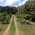 Casa Belvedere -tranquillita Tra Bosco E Ulivi- * Riparbella
