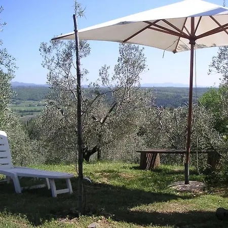 Casa Belvedere -tranquillita Tra Bosco E Ulivi- Holiday home Riparbella