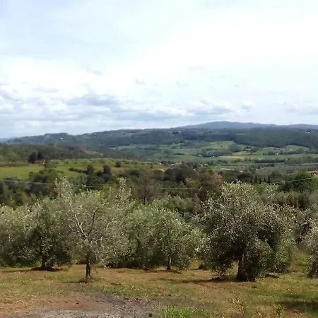 Casa Belvedere -tranquillita Tra Bosco E Ulivi- 度假居