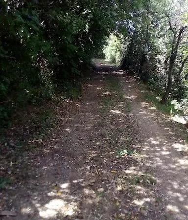 Casa Belvedere -tranquillita Tra Bosco E Ulivi- 度假居 利帕贝拉
