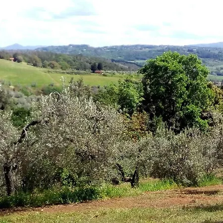 Casa Belvedere -tranquillita Tra Bosco E Ulivi- 度假居 *