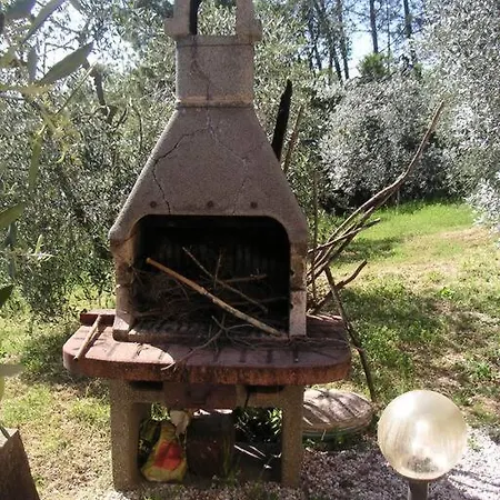 Casa Belvedere -tranquillita Tra Bosco E Ulivi- Holiday home Riparbella