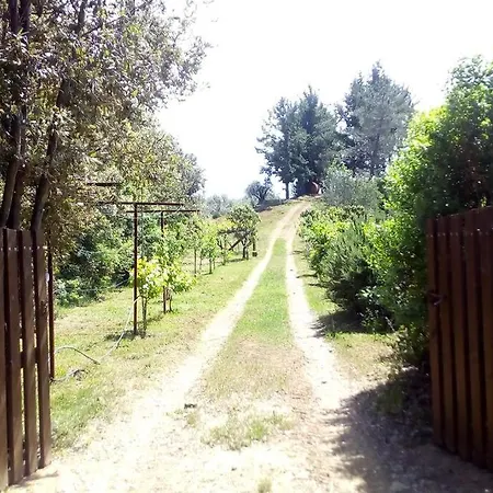 度假居 Casa Belvedere -tranquillita Tra Bosco E Ulivi-