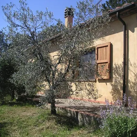 Casa Belvedere -tranquillita Tra Bosco E Ulivi-