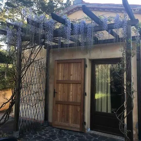 Casa Belvedere -tranquillita Tra Bosco E Ulivi- 利帕贝拉