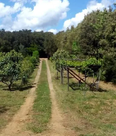 Casa Belvedere -tranquillita Tra Bosco E Ulivi- * 利帕贝拉