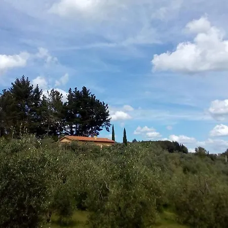 度假居 Casa Belvedere -tranquillita Tra Bosco E Ulivi- *
