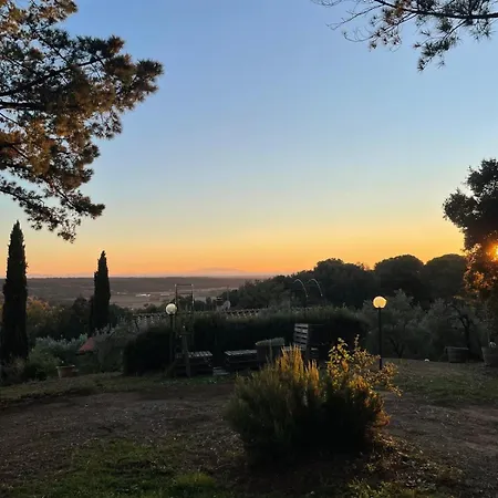 Casa Belvedere -tranquillita Tra Bosco E Ulivi- Riparbella