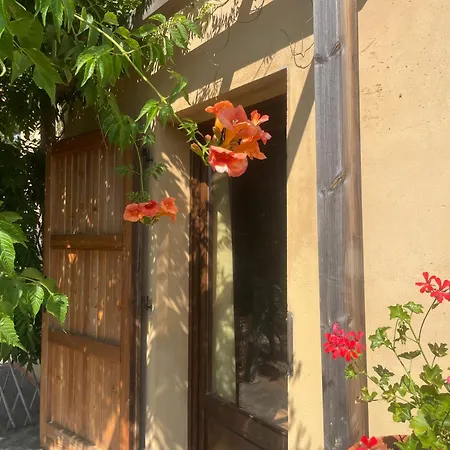 Casa Belvedere -tranquillita Tra Bosco E Ulivi- Holiday home