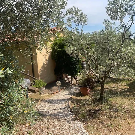 Casa Belvedere -tranquillita Tra Bosco E Ulivi- Holiday home Riparbella