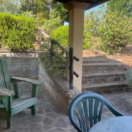 Casa Belvedere -tranquillita Tra Bosco E Ulivi- Riparbella